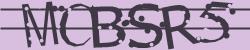 Retype the CAPTCHA code from the image