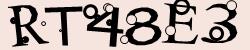 Retype the CAPTCHA code from the image