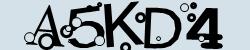 Retype the CAPTCHA code from the image