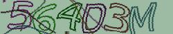 Retype the CAPTCHA code from the image