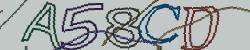 Retype the CAPTCHA code from the image