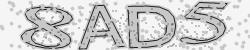 Retype the CAPTCHA code from the image