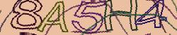 Retype the CAPTCHA code from the image