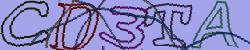 Retype the CAPTCHA code from the image