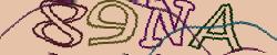 Retype the CAPTCHA code from the image