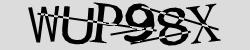 Retype the CAPTCHA code from the image