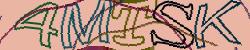 Retype the CAPTCHA code from the image