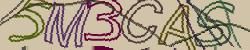 Retype the CAPTCHA code from the image