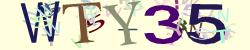 Retype the CAPTCHA code from the image
