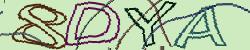 Retype the CAPTCHA code from the image