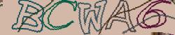 Retype the CAPTCHA code from the image
