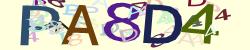 Retype the CAPTCHA code from the image