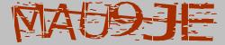 Retype the CAPTCHA code from the image