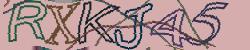 Retype the CAPTCHA code from the image