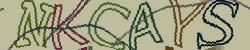 Retype the CAPTCHA code from the image