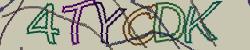 Retype the CAPTCHA code from the image