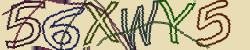 Retype the CAPTCHA code from the image