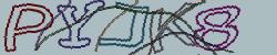 Retype the CAPTCHA code from the image