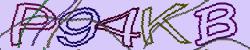 Retype the CAPTCHA code from the image