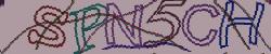 Retype the CAPTCHA code from the image
