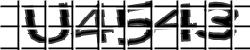 Retype the CAPTCHA code from the image