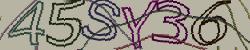 Retype the CAPTCHA code from the image