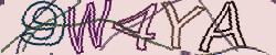 Retype the CAPTCHA code from the image