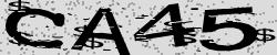 Retype the CAPTCHA code from the image