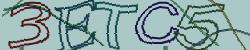 Retype the CAPTCHA code from the image