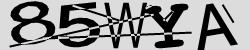 Retype the CAPTCHA code from the image