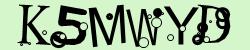 Retype the CAPTCHA code from the image
