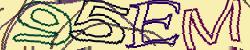 Retype the CAPTCHA code from the image