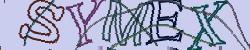 Retype the CAPTCHA code from the image