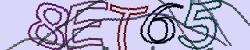 Retype the CAPTCHA code from the image