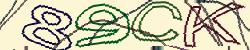 Retype the CAPTCHA code from the image