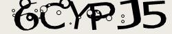 Retype the CAPTCHA code from the image