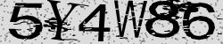 Retype the CAPTCHA code from the image