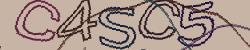 Retype the CAPTCHA code from the image