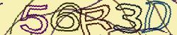 Retype the CAPTCHA code from the image