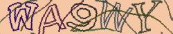 Retype the CAPTCHA code from the image