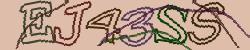 Retype the CAPTCHA code from the image