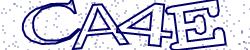 Retype the CAPTCHA code from the image