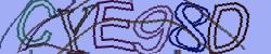 Retype the CAPTCHA code from the image