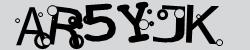 Retype the CAPTCHA code from the image