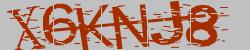 Retype the CAPTCHA code from the image
