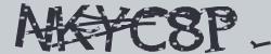 Retype the CAPTCHA code from the image