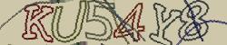 Retype the CAPTCHA code from the image