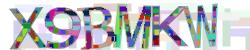 Retype the CAPTCHA code from the image