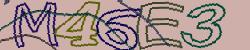 Retype the CAPTCHA code from the image