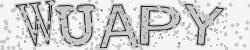 Retype the CAPTCHA code from the image